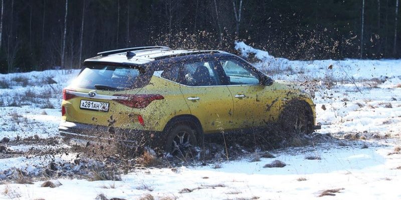 Сравнение Hyundai Creta и KIA Seltos: что лучше? — PETERBURG NEWS